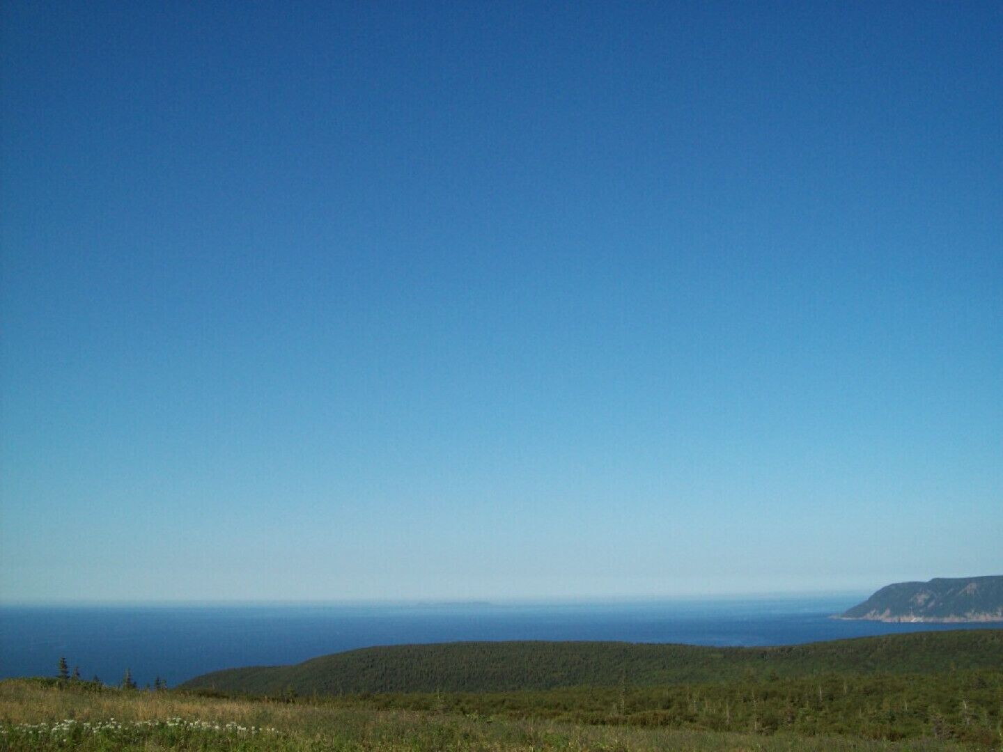 Un paysage côtier avec un ciel dégagé, un premier plan herbeux et une vue lointaine sur l’océan.