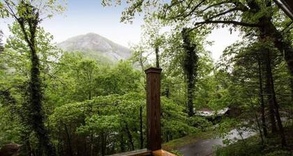 Keskustan savupiippu! Savupiippu - Carolina-ominaisuudet