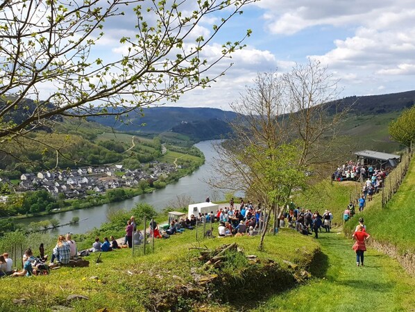 Property grounds - Dream Location—Ferienhaus Inselblick Zell Mosel with a balcony just 10 meters from the water (Zell Mosel)