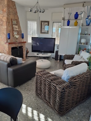 Télévision, cheminée, lecteur de DVD, livres