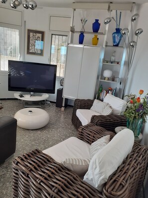 Télévision, cheminée, lecteur de DVD, livres