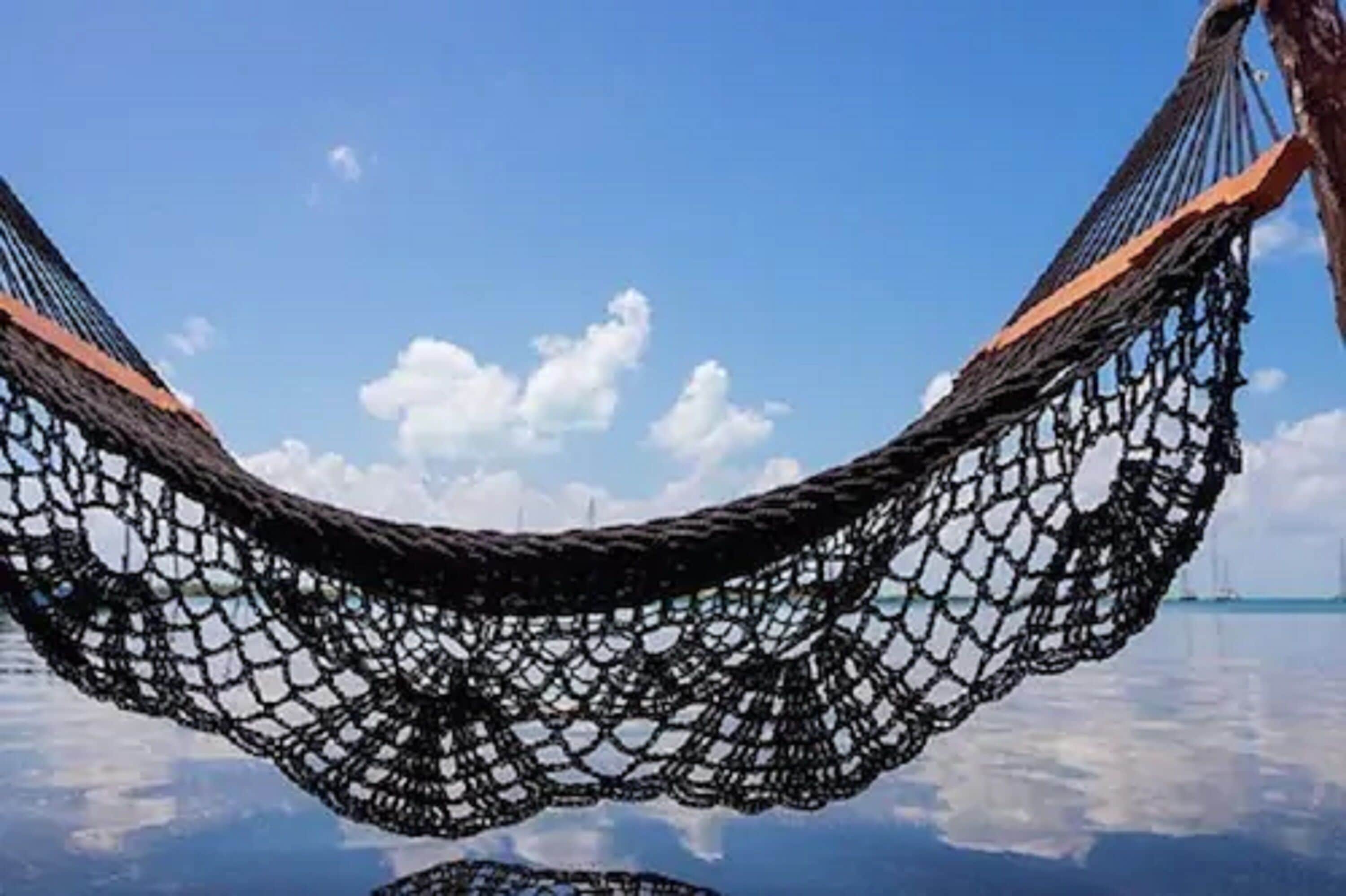 comfort studio, accessible, kitchen | living area | 50-inch flat-screen tv with cable channels, tv, netflix