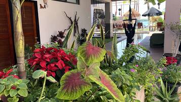 Vista frontal de la propiedad