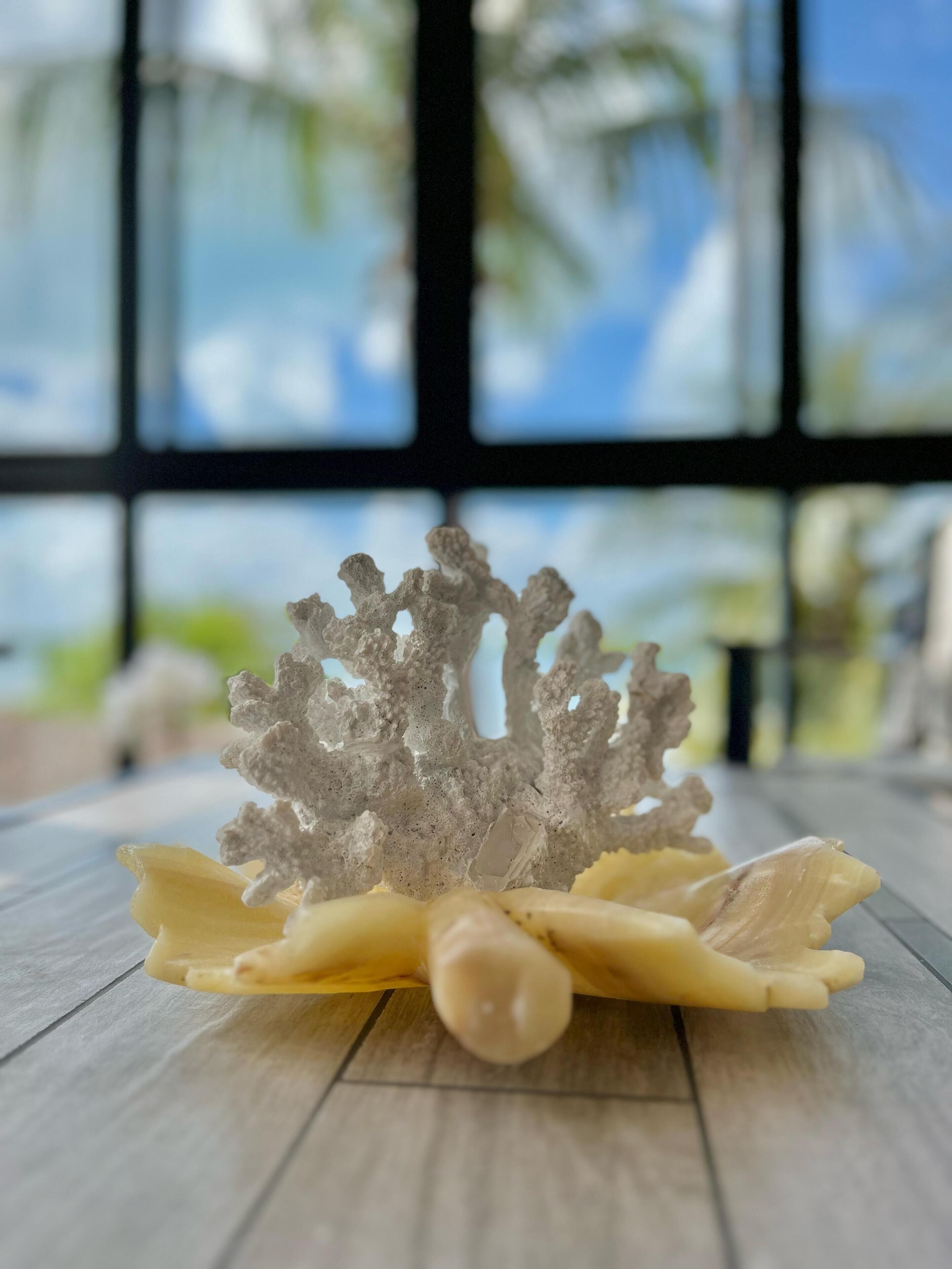 premier studio suite | living area | 50-inch flat-screen tv with cable channels, tv, netflix