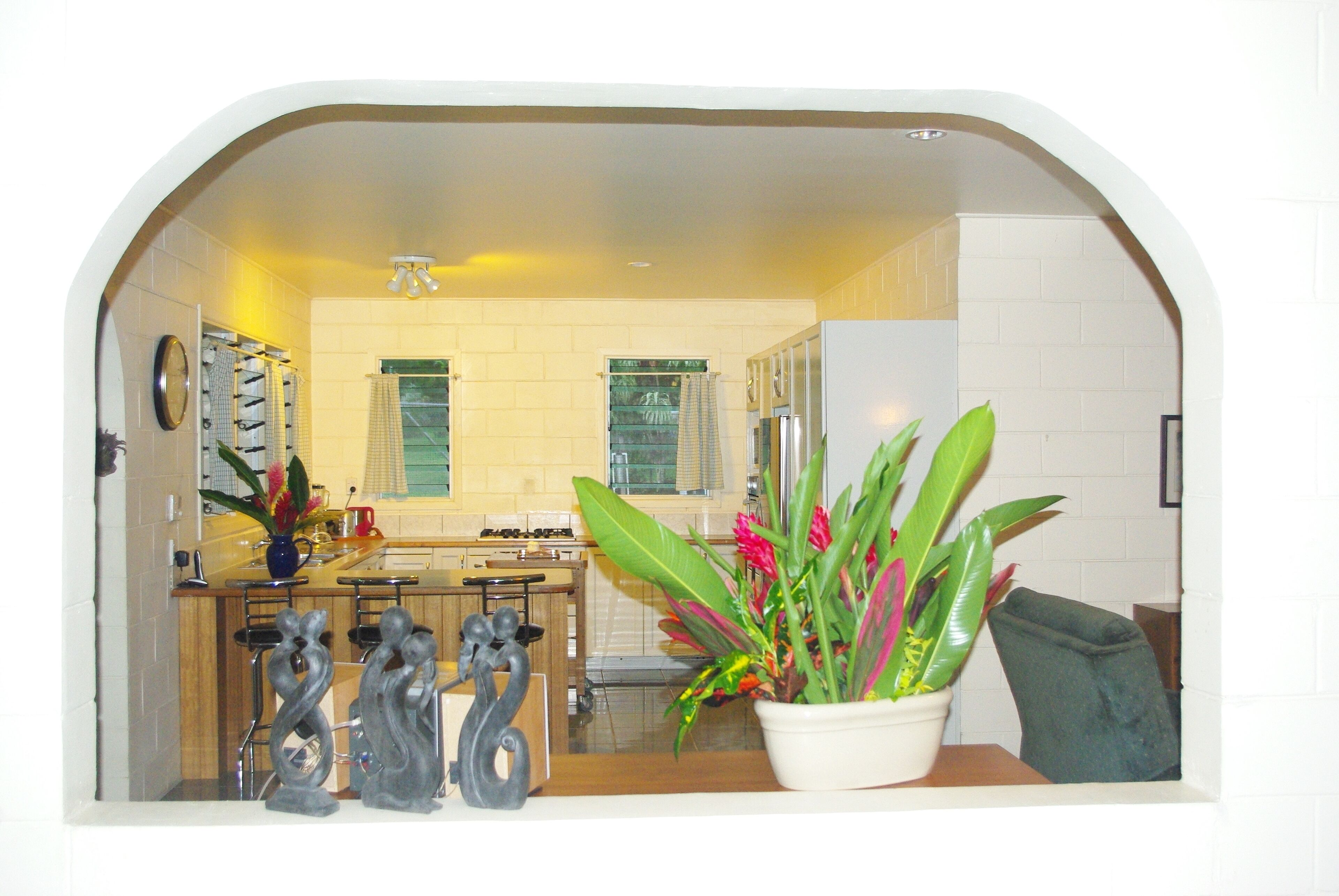 A kitchen with a central island, a sink, and a stove. There is a potted plant on the counter.