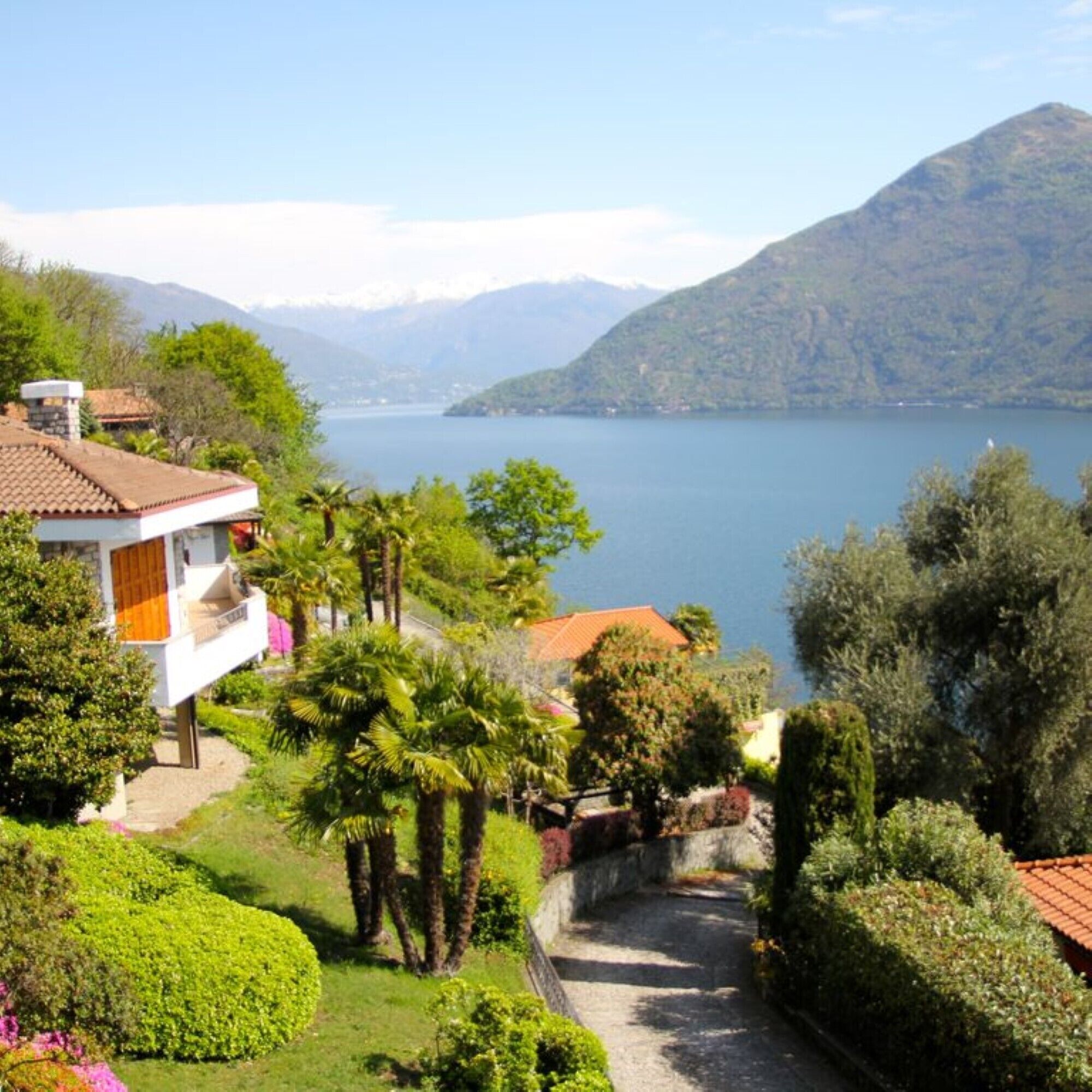 Un quartiere residenziale con vista su un lago e montagne.
