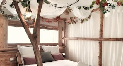 Les gîtes insolites de l'etang d'Anty