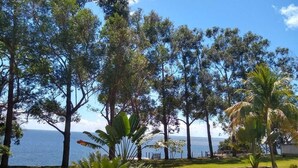 Eine Küstenlandschaft mit Wiese, Bäumen und Blick aufs Meer.