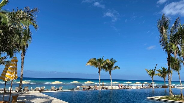 Une vue sur la piscine, avec des palmiers, des chaises longues et des parasols.