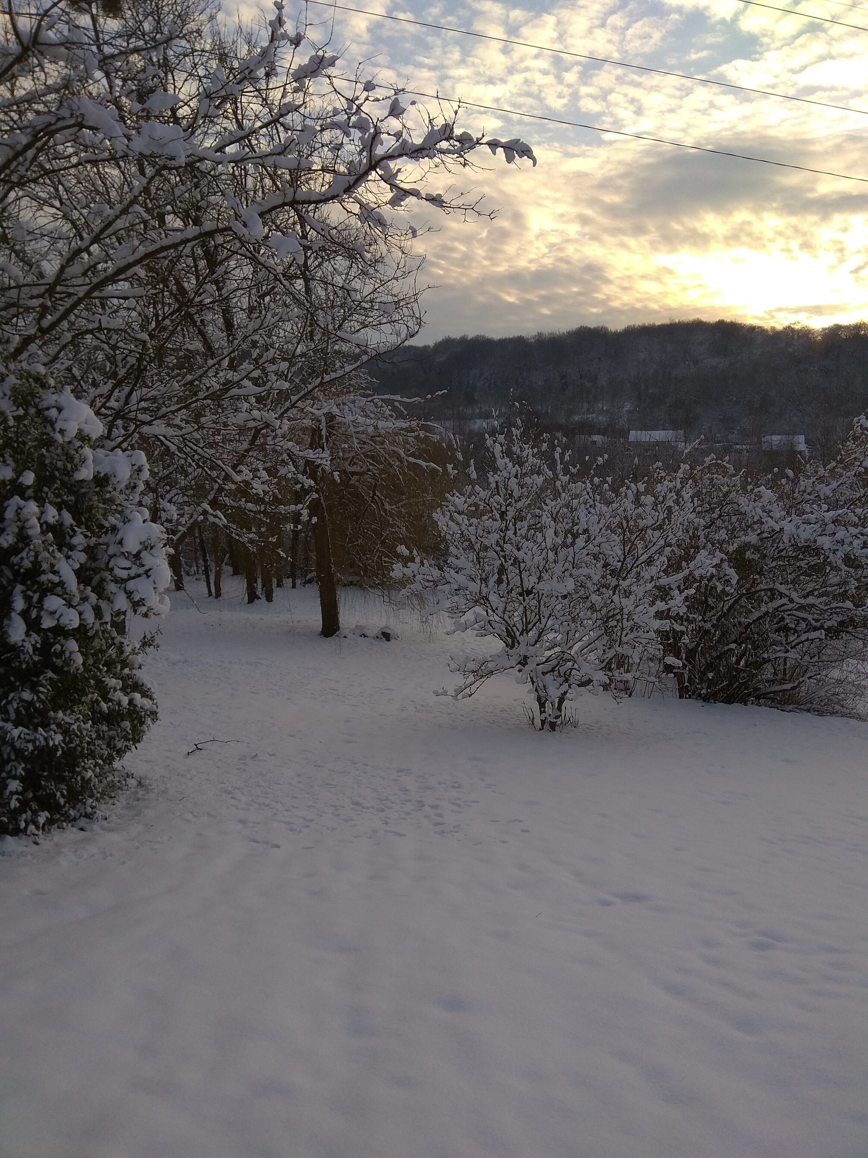 Ett snötäckt landskap med träd och en avlägsen vy över en kulle.