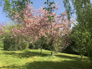 Boendeområde