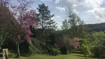 A garden with various trees, including some with pink blossoms, and a grassy area.