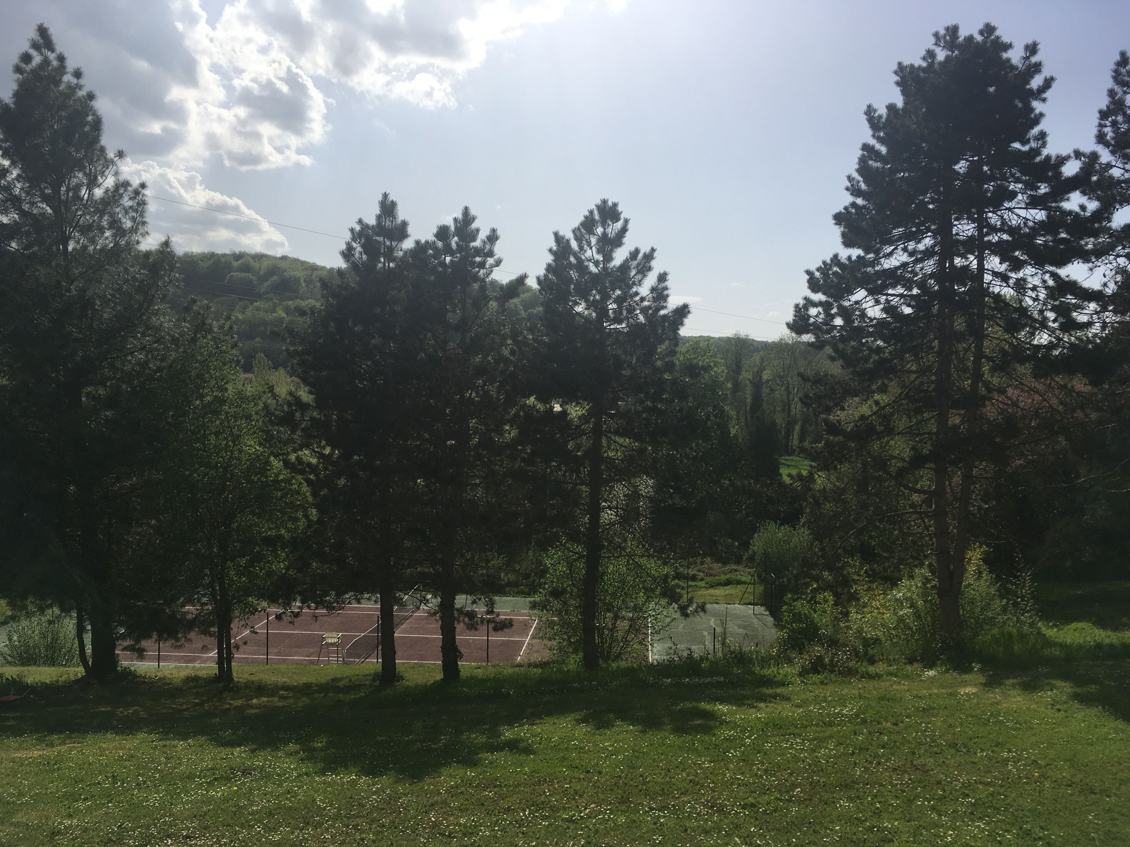 Un court de tennis entouré d’arbres et bordé d’une pelouse.
