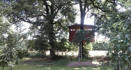 1 apartment and 6 cottages ideal for families not far from the Spreewald