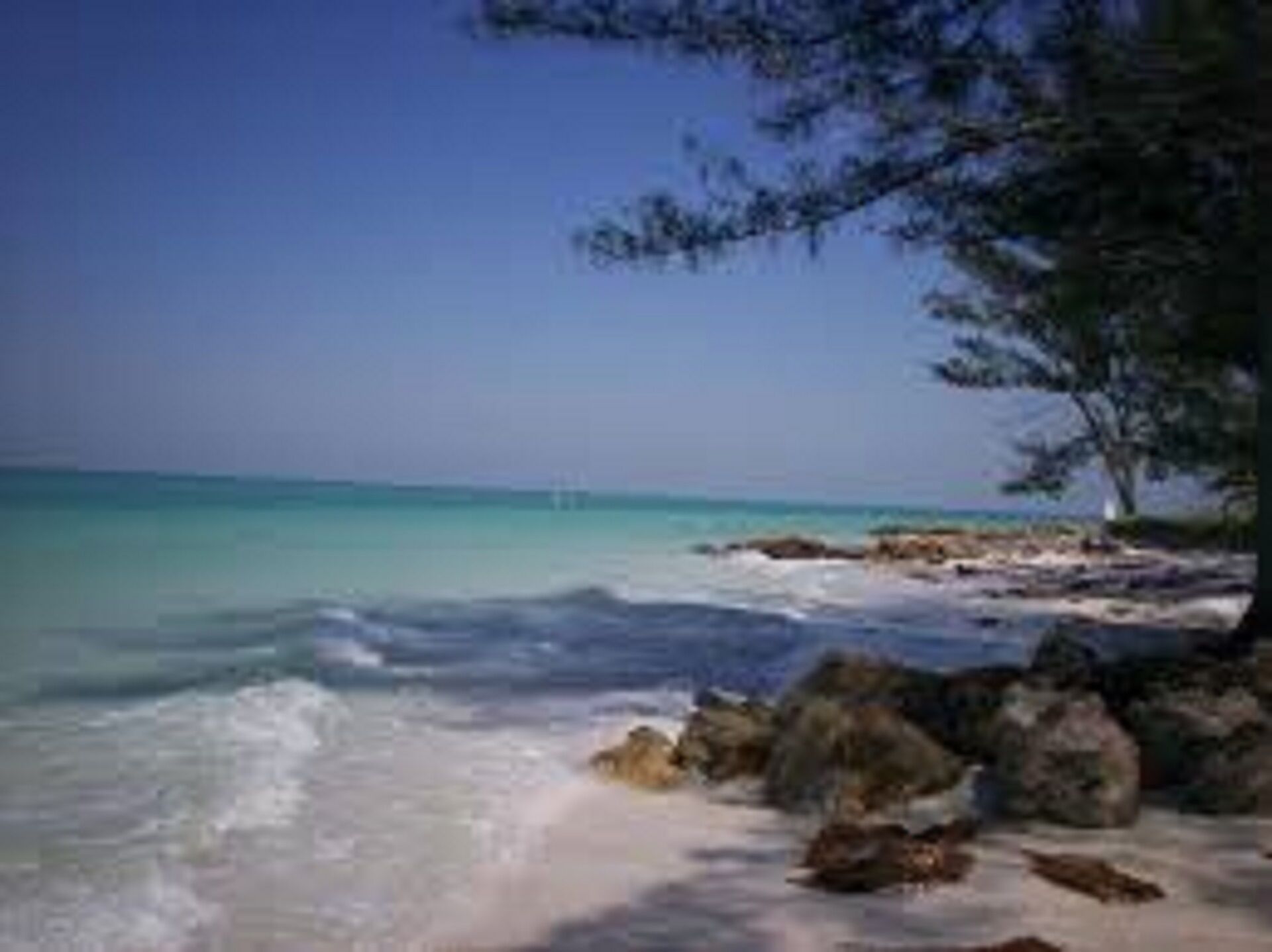 Charming Beach home sits amongst huge Banyan Trees, walk to beach’s & Pine Ave.