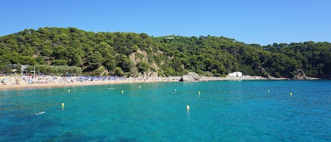 Vlak bij het strand