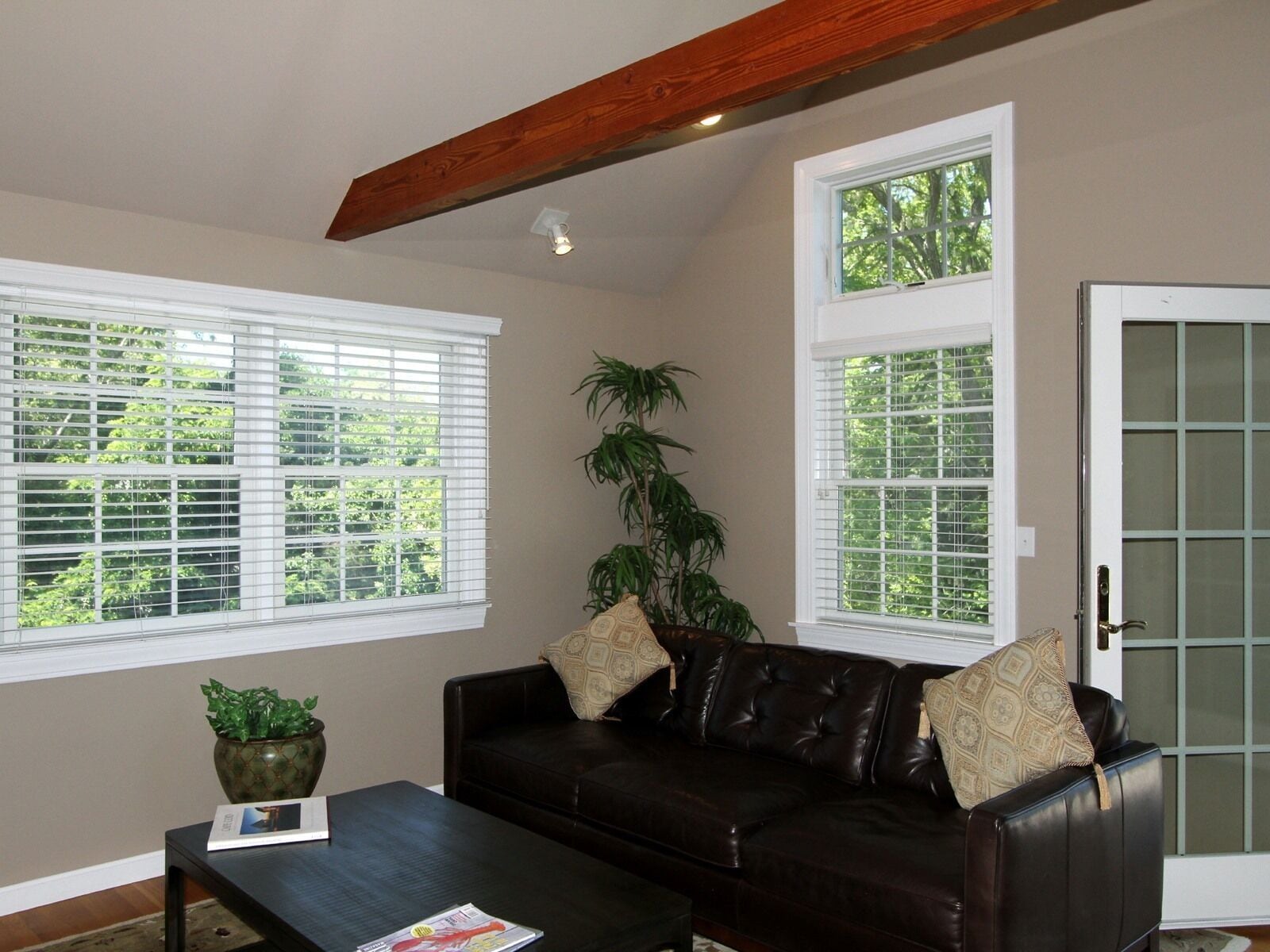 A living room with a dark leather sofa, two windows with blinds, a potted plant, and a door with frosted glass panels.