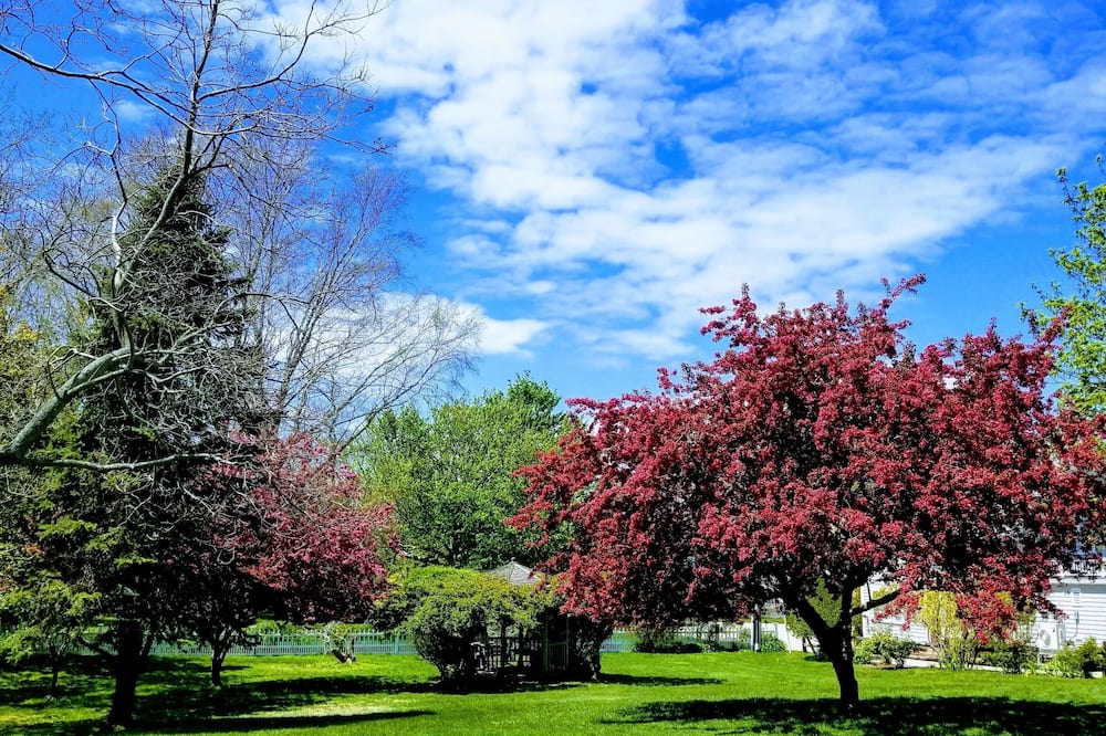 Whalewalk Inn and Spa