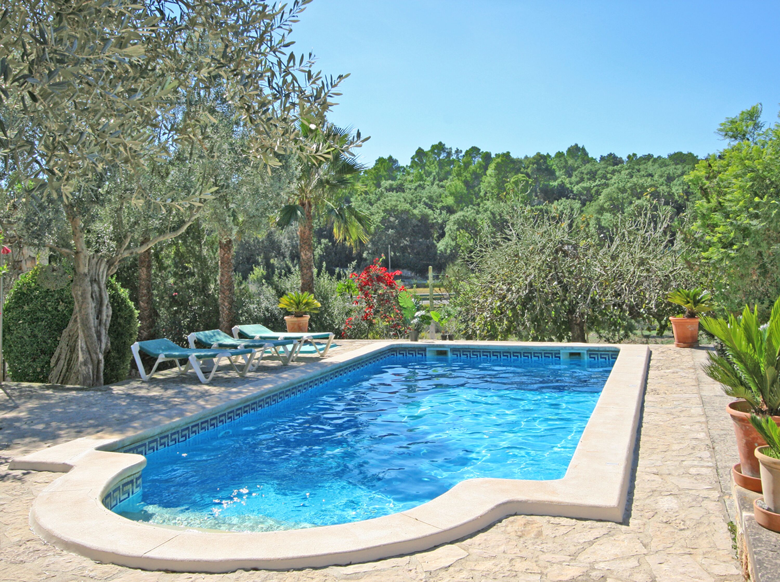 A rectangular pool with a geometric tile pattern, surrounded by stone steps and potted plants.