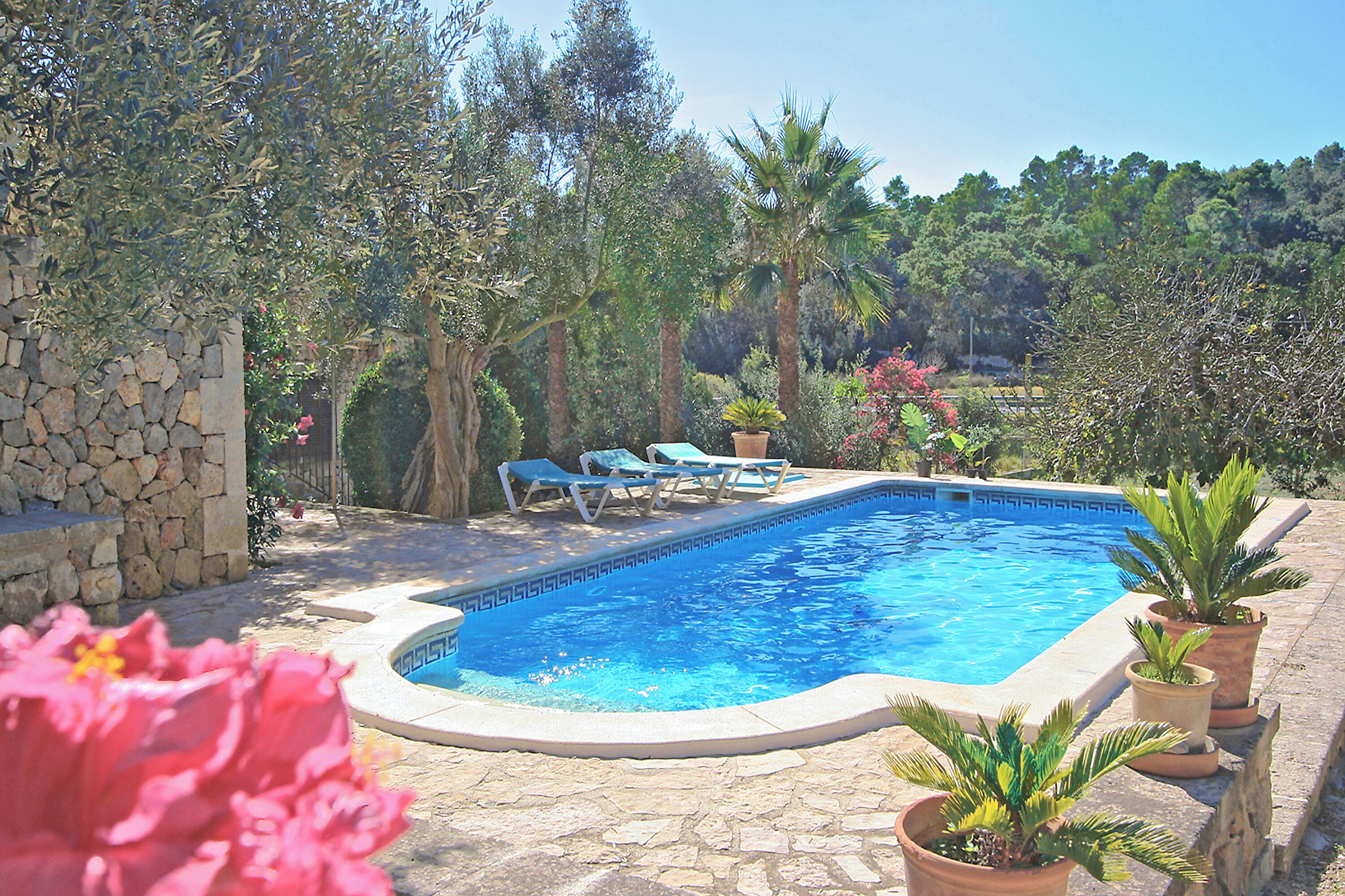 A rectangular swimming pool with a stone border, surrounded by potted plants and a stone wall.