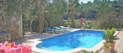 A rectangular swimming pool with a stone border, surrounded by potted plants and a stone wall.