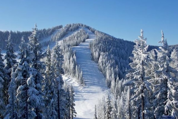 Sne- og skisport