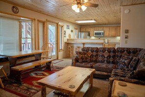 Fireplace, DVD player, video library