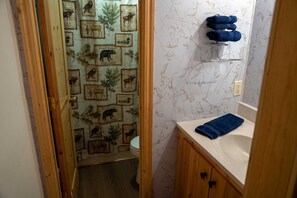 A bathroom with a wooden vanity, a blue towel, and a wall with animal-themed wallpaper. - Nellie Gray #23 - Newly Remodeled with Amazing Views of Lake San Cristobal (Lake City)