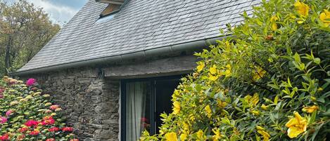 Detalle del exterior