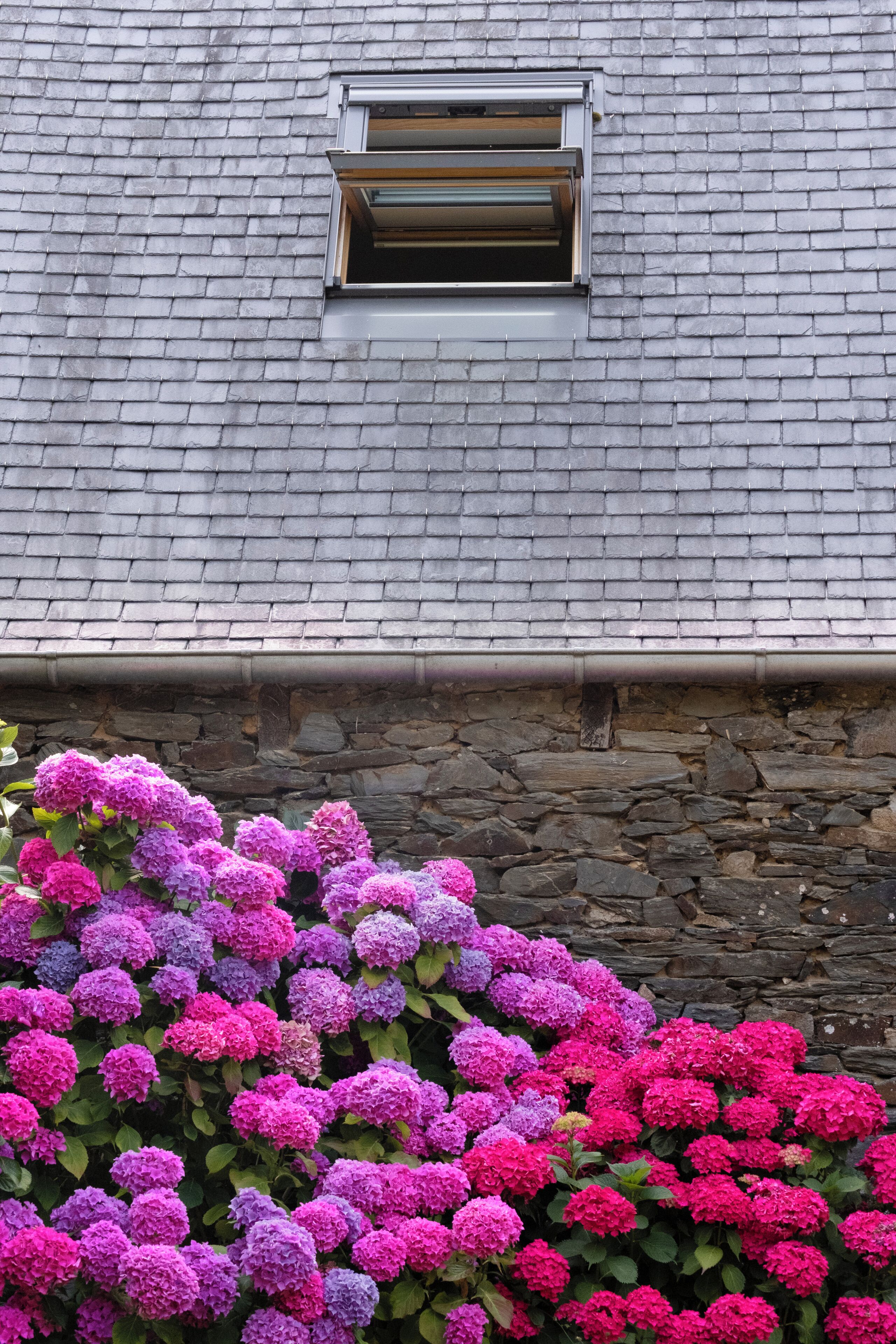 Detalle del exterior