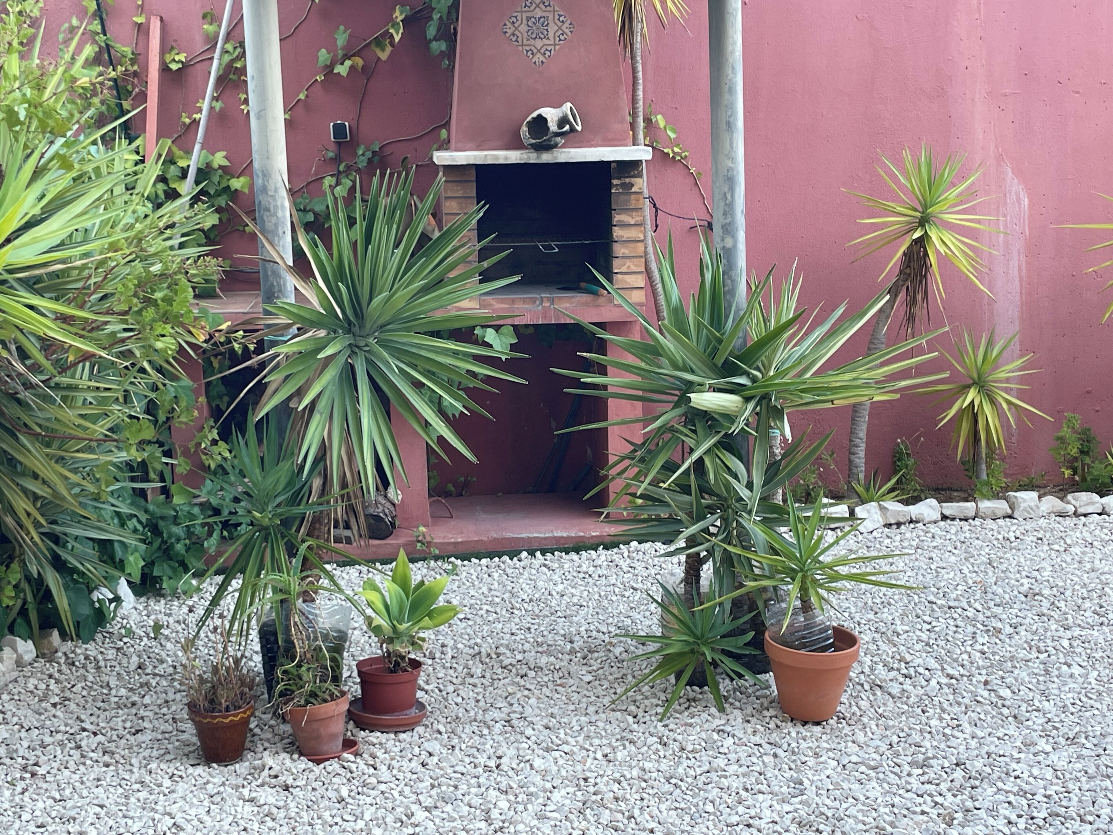 Un patio con plantas en macetas y una chimenea de ladrillo.