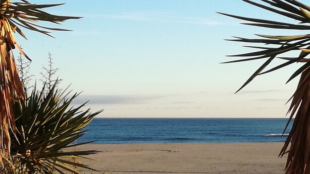 A beach with clear skies and calm waters.