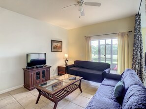 TV, video games, DVD player, table football
