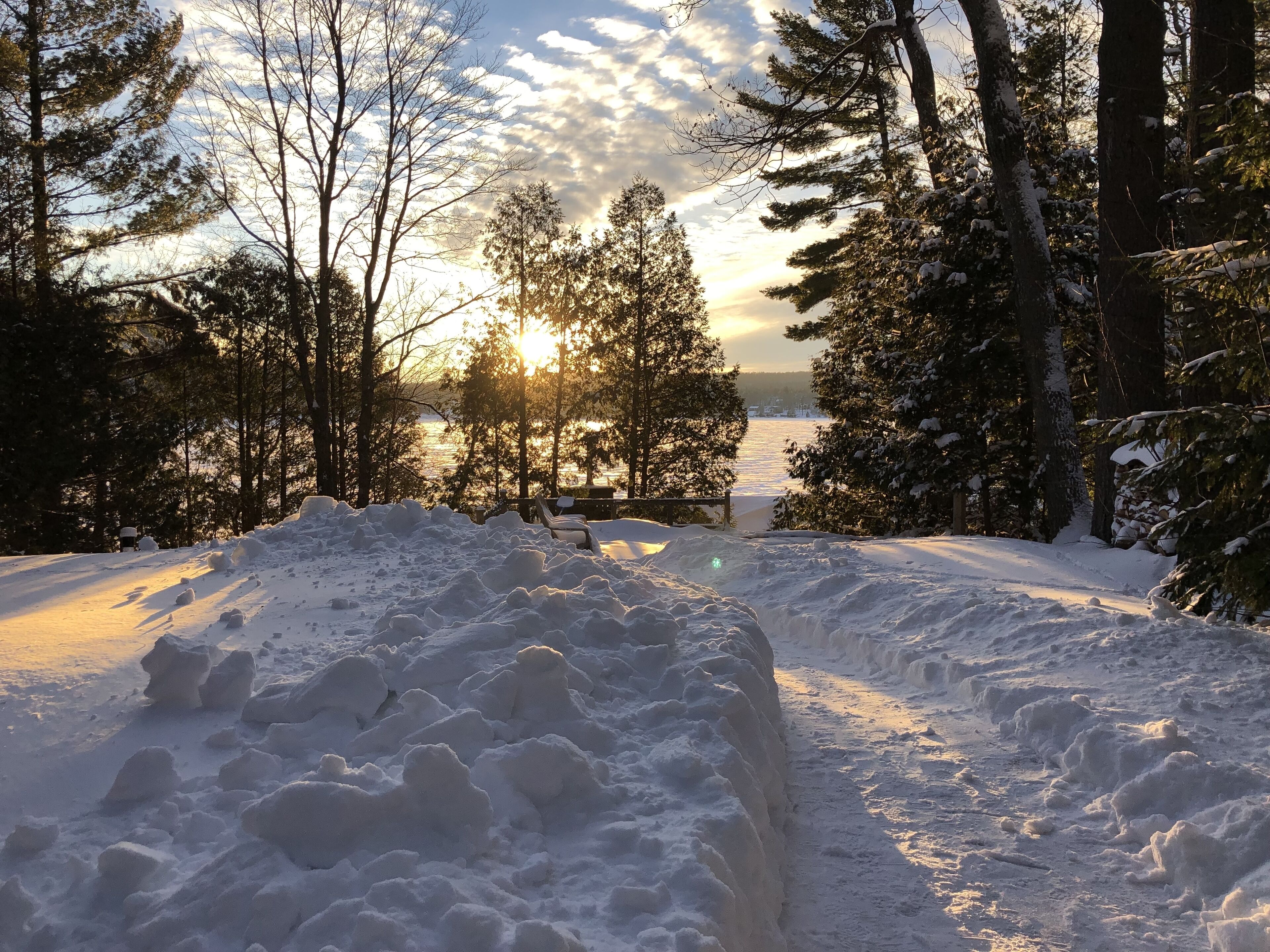 Paesaggio innevato con un sentiero che si inoltra in una foresta, una panchina e la vista del tramonto su un corso d'acqua.