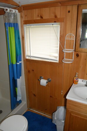 Shower, hair dryer, towels, toilet paper