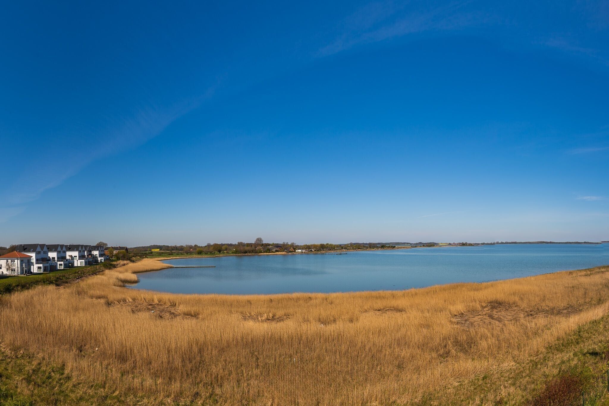 A lakeside view with a row of white houses along the shore.