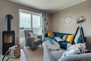 Télévision, cheminée, lecteur de DVD, chaîne hi-fi