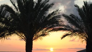 Une vue sur le coucher de soleil, avec des palmiers et une étendue d’eau.