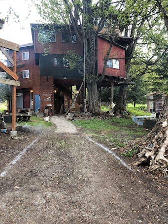Exterior. Treehouse too - Poplar Cabins