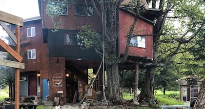 Treehouse too - Poplar Cabins