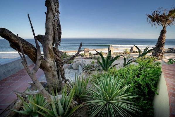 On the beach, sun loungers, beach towels