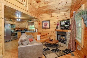 TV, fireplace, DVD player