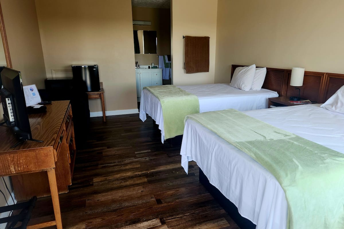 Pet friendly-Standard Single Room, 2 Double Beds, Non Smoking | Premium bedding, memory foam beds, desk, laptop workspace