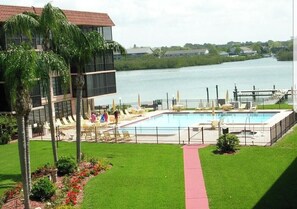 A swimming pool with a view of a lake, surrounded by a fenced area and palm trees.