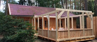 The holiday home "Ortheide 69" is located in a forest settlement with large trees.