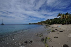 A beach with clear water, rocks, and palm trees.