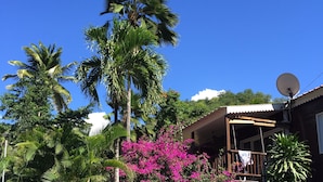 Ein Haus mit Satellitenschüssel, umgeben von Palmen und leuchtend rosa Bougainvillea.