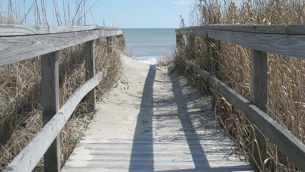 Ein hölzerner Steg führt zu einem Strand, der von hohem Gras gesäumt ist.