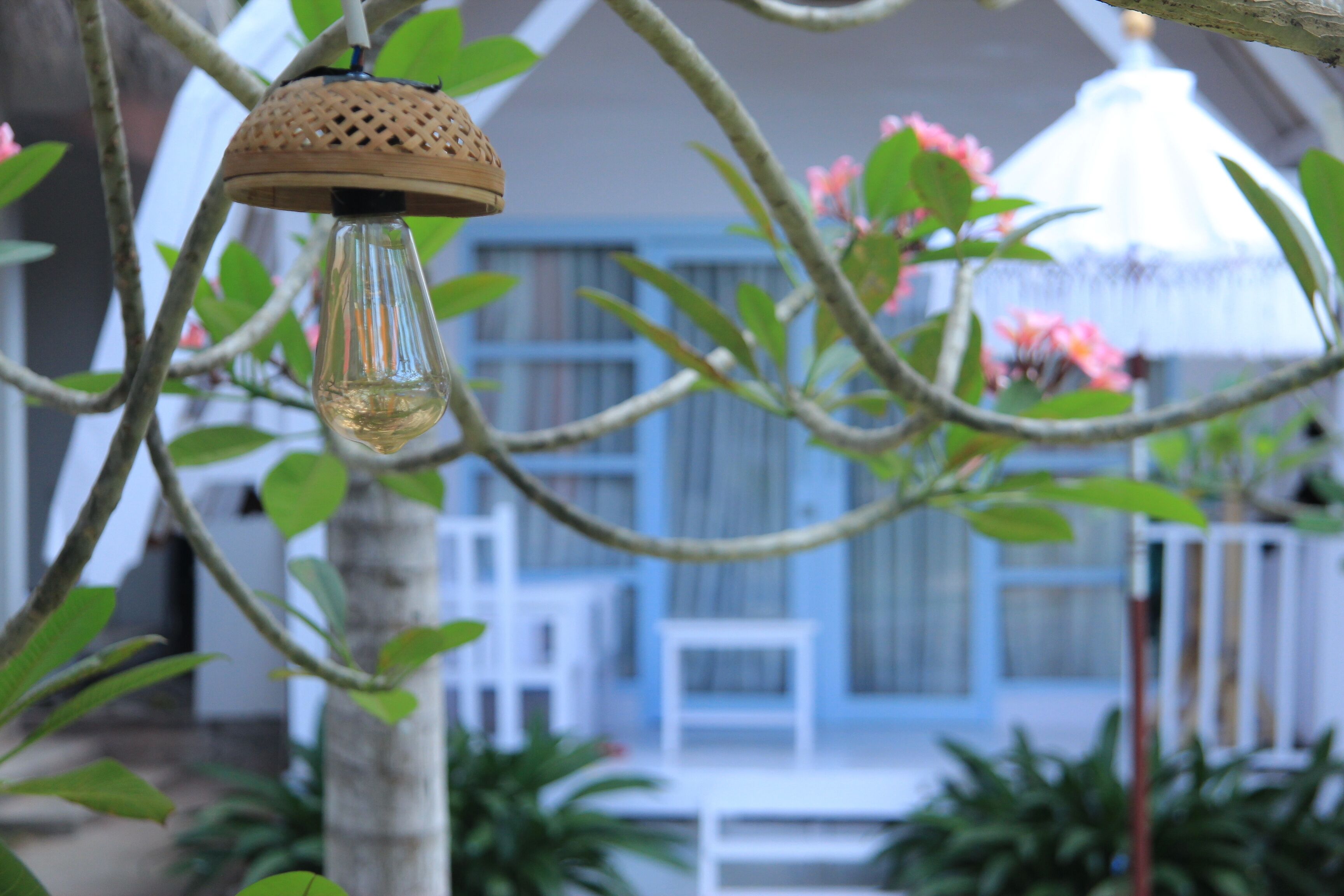 A hanging light fixture with a woven cover and a clear glass bulb, surrounded by green foliage and pink flowers.