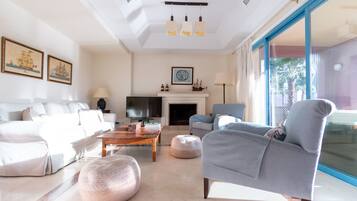 TV connectée, cheminée, livres, chaßne hi-fi